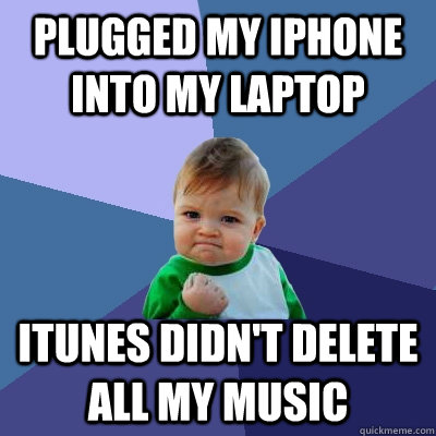 Plugged my iphone into my laptop Itunes didn't delete all my music - Plugged my iphone into my laptop Itunes didn't delete all my music  Success Kid