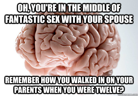 Oh, you're in the middle of fantastic sex with your spouse Remember how you walked in on your parents when you were twelve?  Scumbag Brain
