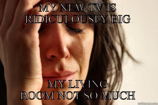 MY NEW TV IS RIDICULOUSLY BIG MY LIVING ROOM NOT SO MUCH First World Problems