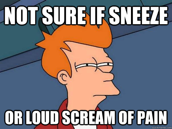 Not sure if sneeze Or loud scream of pain - Not sure if sneeze Or loud scream of pain  Futurama Fry
