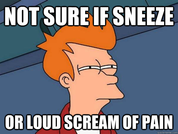 Not sure if sneeze Or loud scream of pain  Futurama Fry