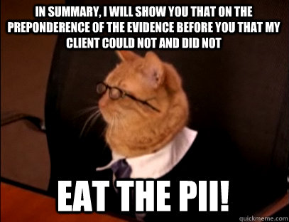 In summary, I WILL SHOW YOU THAT ON THE PREPONDERENCE OF THE EVIDENCE BEFORE YOU THAT my client could not AND DID NOT EAT THE PII! - In summary, I WILL SHOW YOU THAT ON THE PREPONDERENCE OF THE EVIDENCE BEFORE YOU THAT my client could not AND DID NOT EAT THE PII!  Lawyer Cat