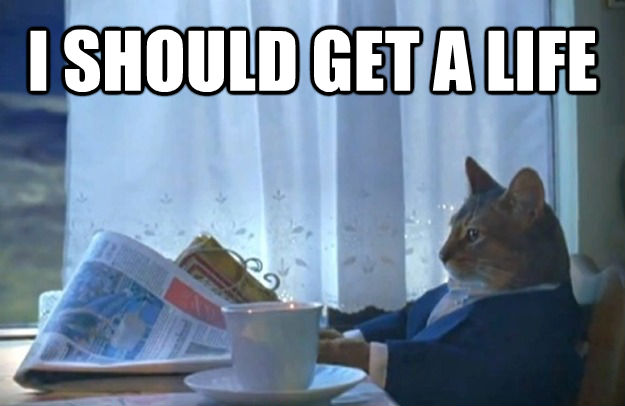 I SHOULD GET A LIFE   Sophisticated Cat