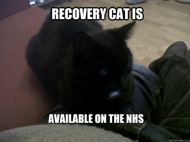 Recovery Cat is available on the NHS - Recovery Cat is available on the NHS  recovery cat