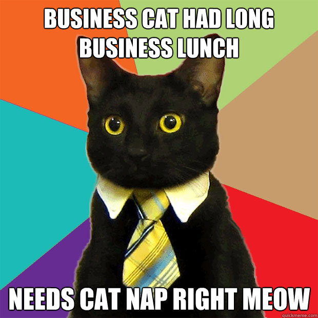 business cat had long business lunch needs cat nap right meow  Business Cat