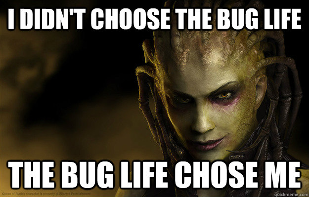 I didn't choose the Bug life The Bug life chose me - I didn't choose the Bug life The Bug life chose me  Kerrigan 2012
