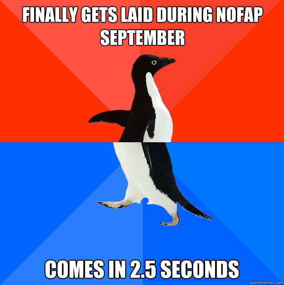 Finally gets laid during nofap september Comes in 2.5 seconds  Socially Awesome Awkward Penguin