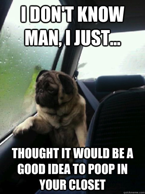 I don't know man, I just... thought it would be a good idea to poop in your closet  Introspective Pug