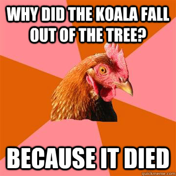 Why did the koala fall out of the tree? Because it died - Why did the koala fall out of the tree? Because it died  Anti-Joke Chicken
