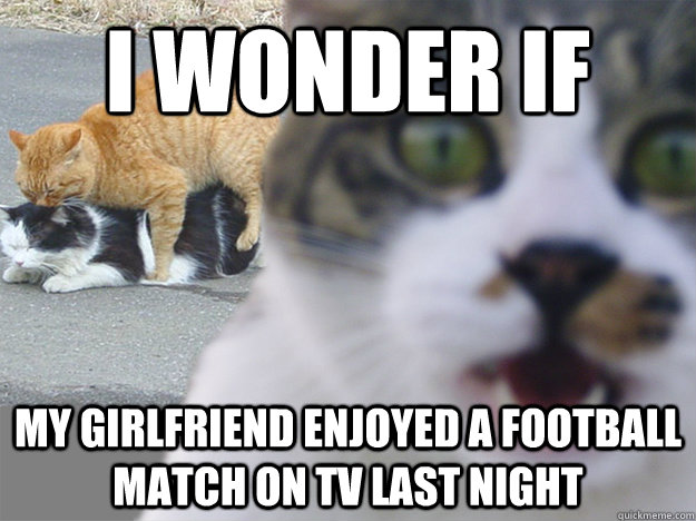 I wonder if my girlfriend enjoyed a football match on tv last night  