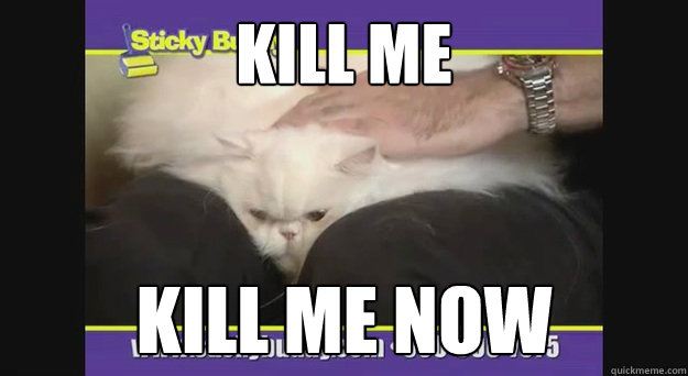 Kill me kill me now - Kill me kill me now  Sad Kitty