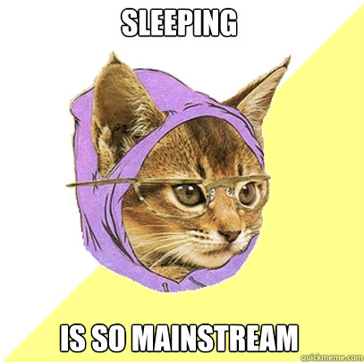 sleeping is so mainstream  Hipster Kitty