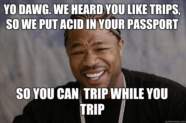 Yo dawg. We heard you like trips, so we put acid in your passport so you can  trip while you trip  Xzibit meme