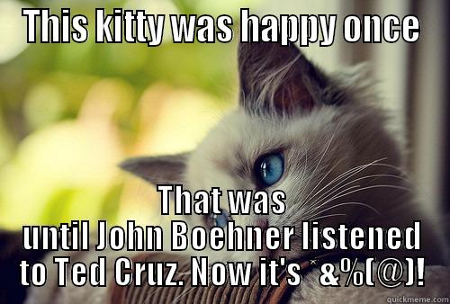 THIS KITTY WAS HAPPY ONCE THAT WAS UNTIL JOHN BOEHNER LISTENED TO TED CRUZ. NOW IT'S *&%(@)! First World Problems Cat