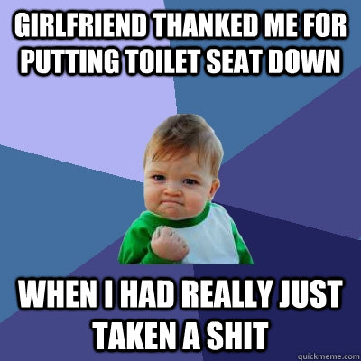 Girlfriend thanked me for putting toilet seat down when i had really just taken a shit  Success Kid