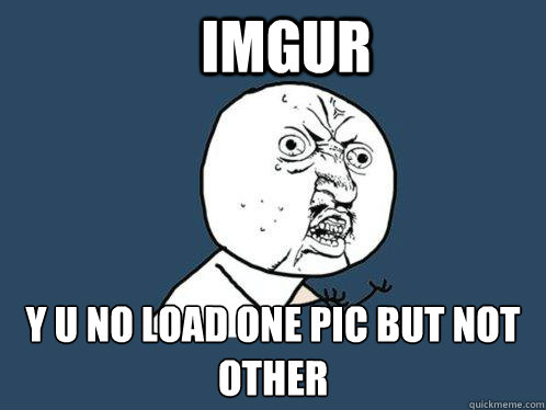 IMGUR Y U NO LOAD ONE PIC BUT NOT OTHER  Y U No
