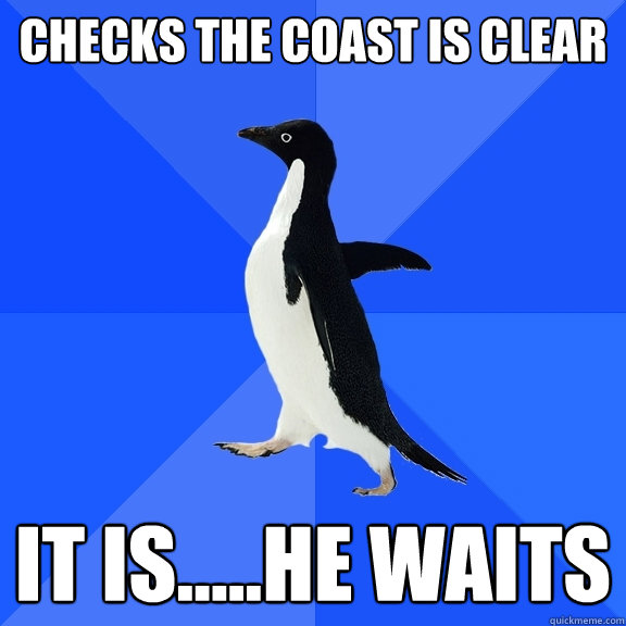 checks the coast is clear it is.....he waits  Socially Awkward Penguin