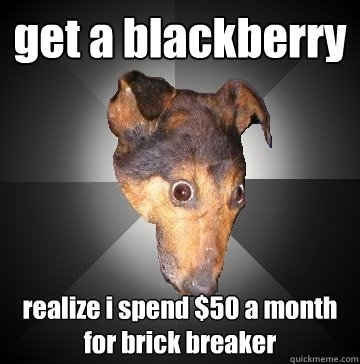get a blackberry realize i spend $50 a month for brick breaker  Depression Dog
