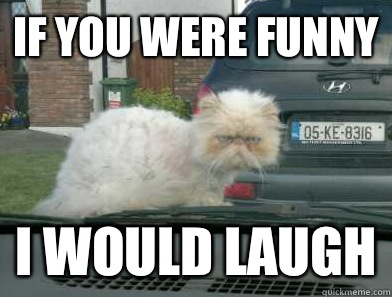 If you were funny I would laugh - If you were funny I would laugh  Misc