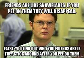 Friends are like snowflakes. If you pee on them they will disappear. FALSE. You find out who you friends are if they stick around after you pee on them - Friends are like snowflakes. If you pee on them they will disappear. FALSE. You find out who you friends are if they stick around after you pee on them  Dwight False
