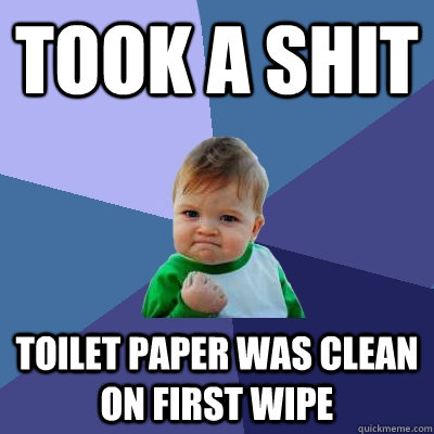 Took a shit toilet paper was clean on first wipe - Took a shit toilet paper was clean on first wipe  Success Kid