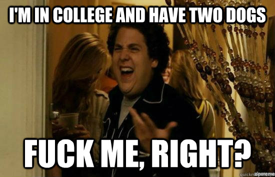 I'm in college and have two dogs Fuck me, right?  fuckmeright