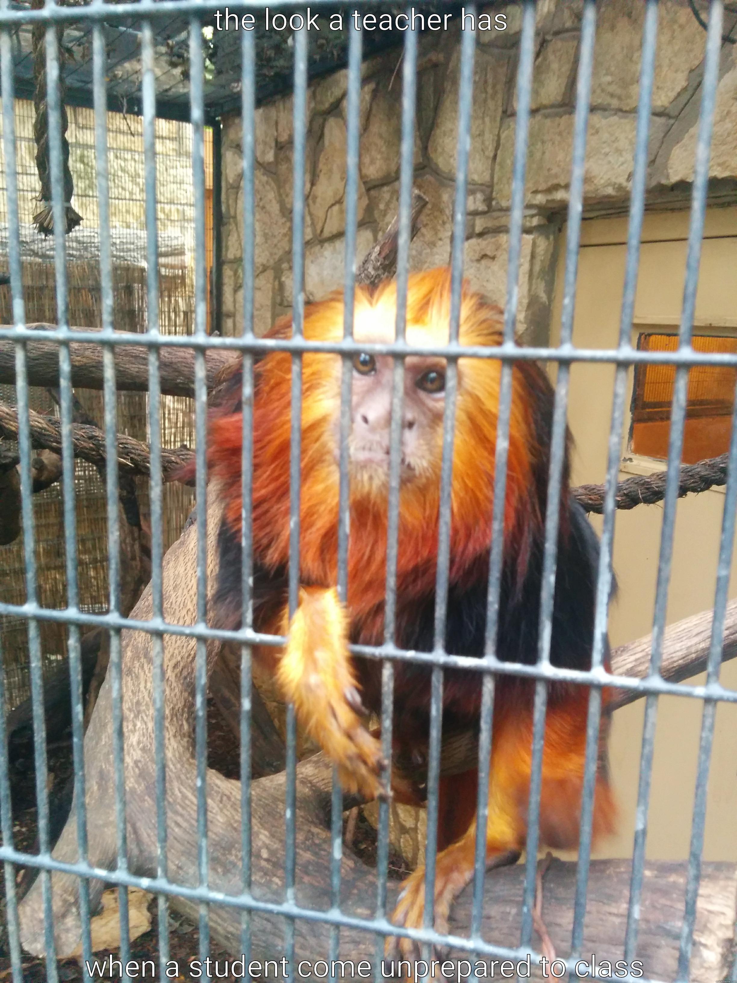 THE LOOK A TEACHER HAS  WHEN A STUDENT COME UNPREPARED TO CLASS Misc