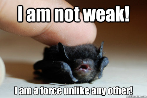 I am not weak! I am a force unlike any other! - I am not weak! I am a force unlike any other!  Baby Bat