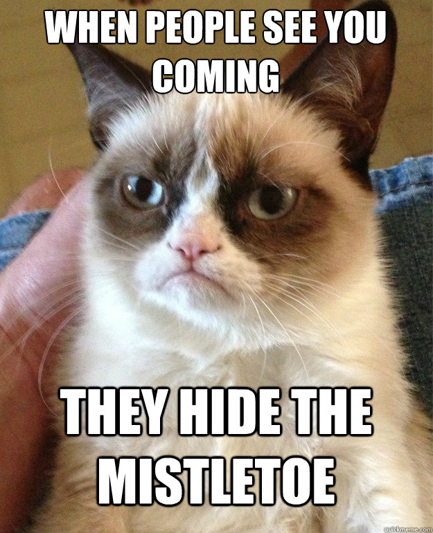 When people see you coming they hide the mistletoe - When people see you coming they hide the mistletoe  Grumpy Cat
