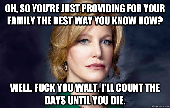 Oh, so you're just providing for your family the best way you know how? Well, fuck you walt. I'll count the days until you die. - Oh, so you're just providing for your family the best way you know how? Well, fuck you walt. I'll count the days until you die.  Scumbag Skyler