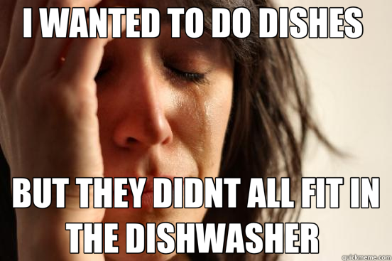 I WANTED TO DO DISHES  BUT THEY DIDNT ALL FIT IN THE DISHWASHER   First World Problems