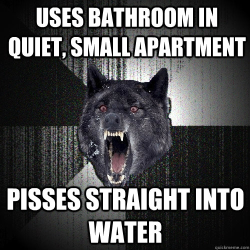 Uses bathroom in quiet, small apartment pisses straight into water  Insanity Wolf