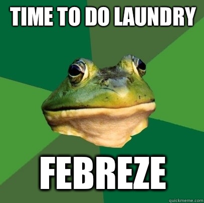 Time to do laundry Febreze   Foul Bachelor Frog