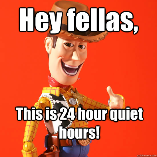 Hey fellas, This is 24 hour quiet hours! - Hey fellas, This is 24 hour quiet hours!  Woody
