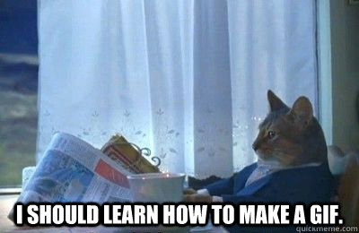  I should learn how to make a gif.  I should buy a bike