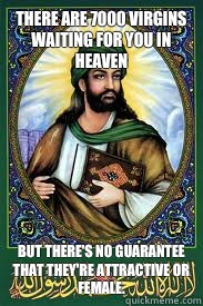 There are 7000 virgins waiting for you in heaven But there's no guarantee that they're attractive or female.  most interesting mohamad