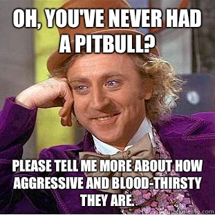 Oh, you've never had a pitbull? Please tell me more about how aggressive and blood-thirsty they are.  Condescending Wonka