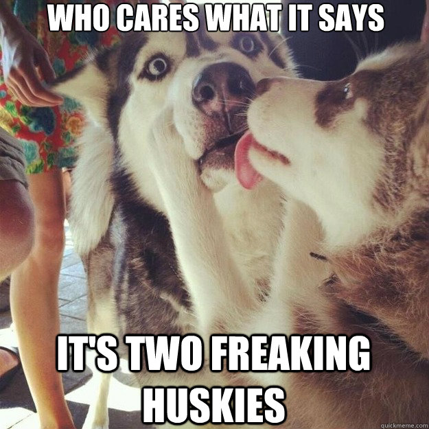 Who Cares what it says It's two freaking huskies - Who Cares what it says It's two freaking huskies  Relationship Dog