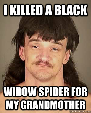 I killed a black widow spider for my grandmother  