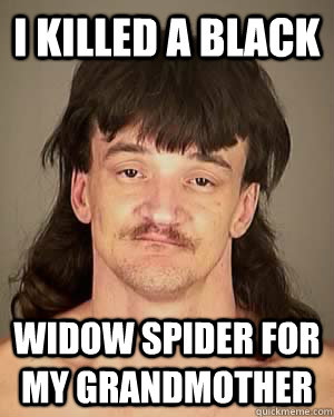 I killed a black widow spider for my grandmother - I killed a black widow spider for my grandmother  Successful Redneck