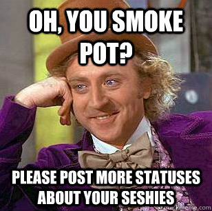 Oh, You smoke pot? Please post more statuses about your seshies  Condescending Wonka