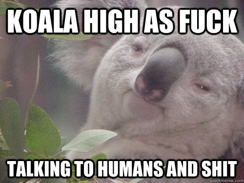 KOala high as fuck talking to humans and shit  