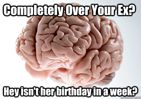 Completely Over Your Ex? Hey isn't her birthday in a week?   Scumbag Brain