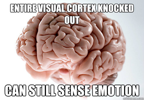 Entire Visual Cortex Knocked Out Can Still Sense Emotion  Scumbag Brain