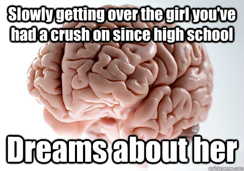 Slowly getting over the girl you've had a crush on since high school Dreams about her   Scumbag Brain