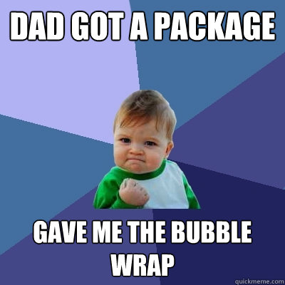 dad got a package gave me the bubble wrap  Success Kid
