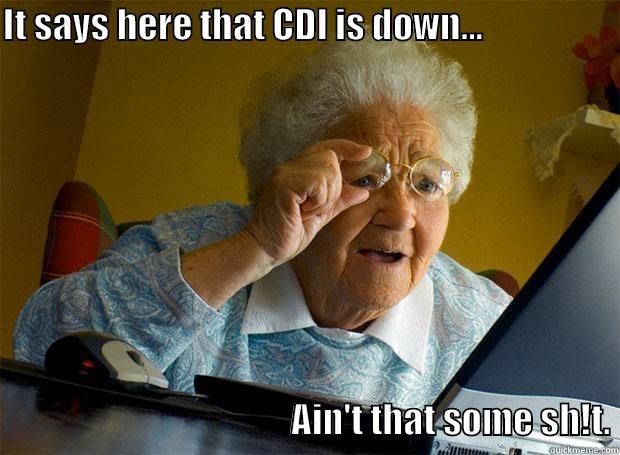IT SAYS HERE THAT CDI IS DOWN...                                                                         AIN'T THAT SOME SH!T. Grandma finds the Internet