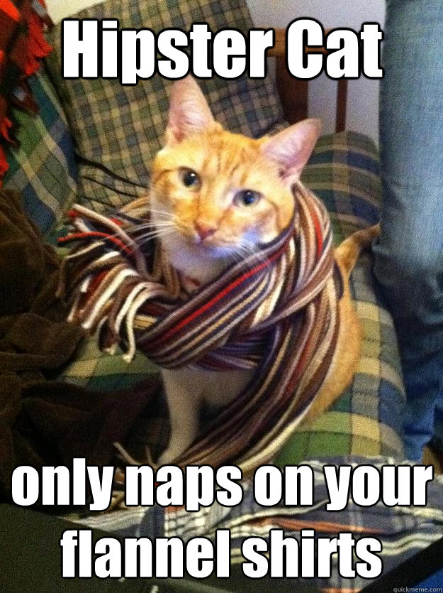 Hipster Cat only naps on your flannel shirts - Hipster Cat only naps on your flannel shirts  Misc