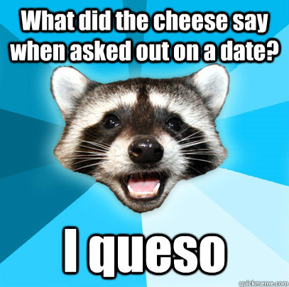 What did the cheese say when asked out on a date? I queso  Lame Pun Coon