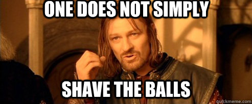 One does not simply shave the balls  